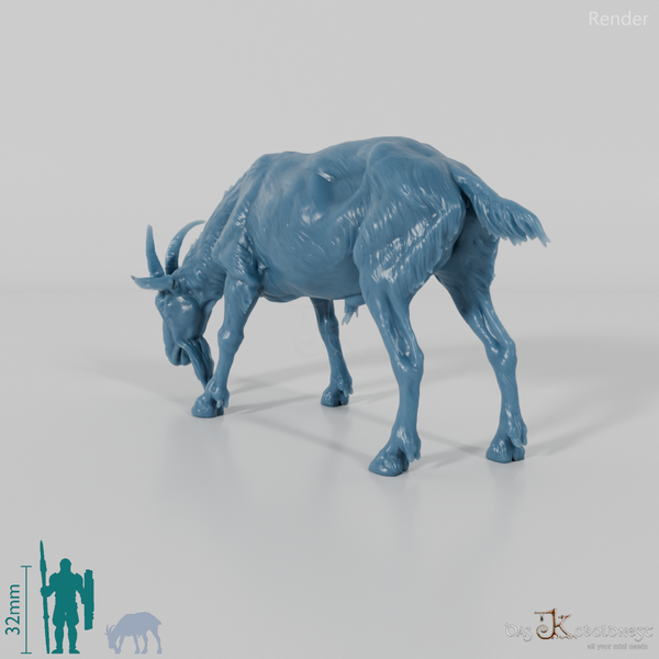 Goat - mountain goat - billy goat 02