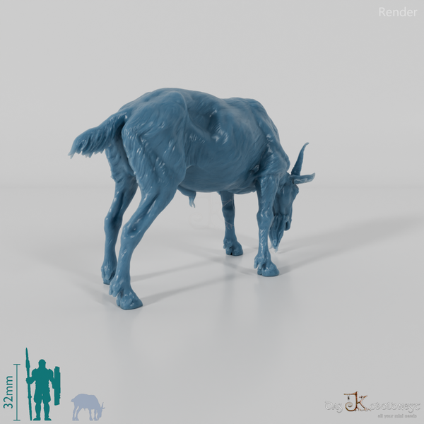 Goat - mountain goat - billy goat 02