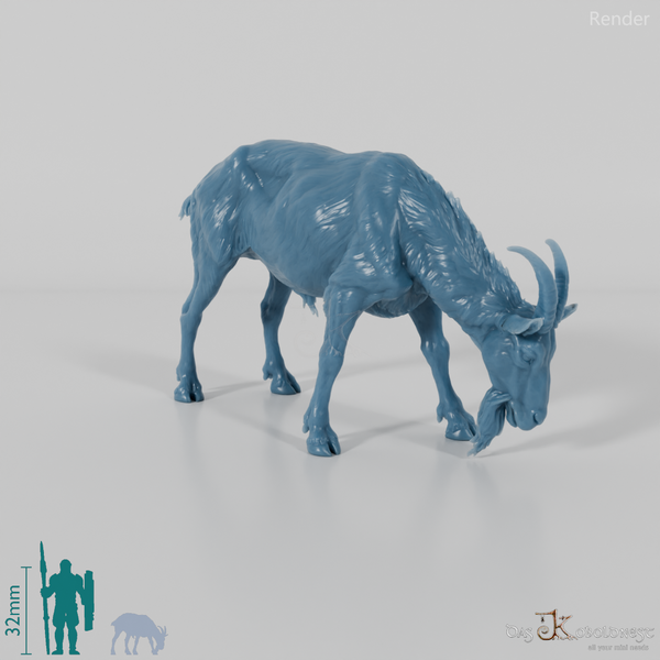 Goat - mountain goat - billy goat 02