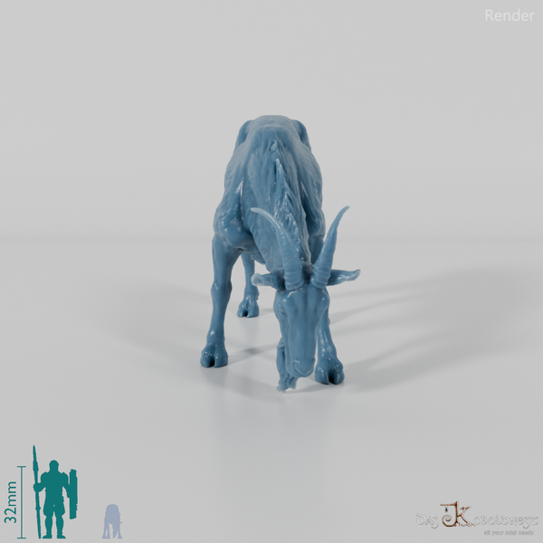 Goat - mountain goat - billy goat 02