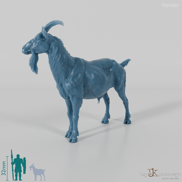 Goat - mountain goat - billy goat 01