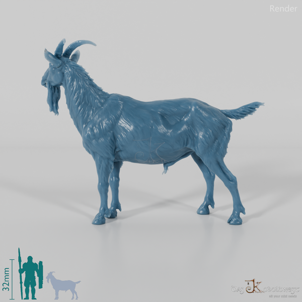 Goat - mountain goat - billy goat 01