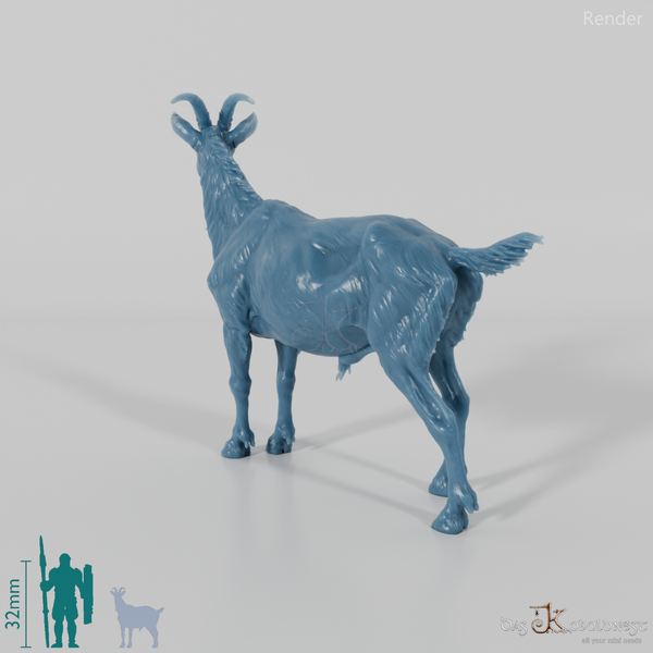 Goat - mountain goat - billy goat 01