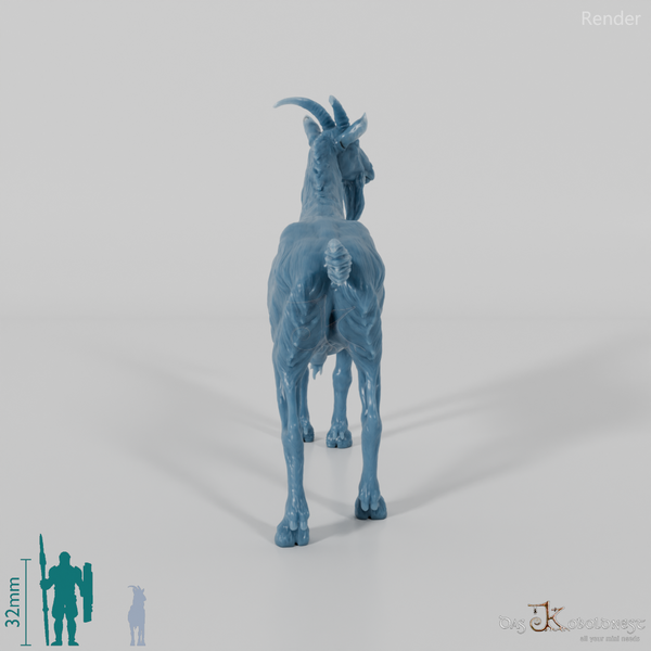 Goat - mountain goat - billy goat 01
