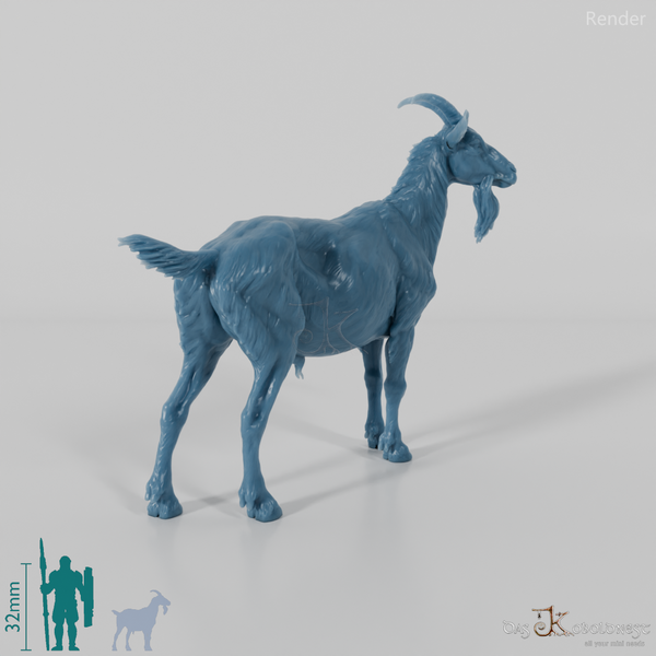 Goat - mountain goat - billy goat 01