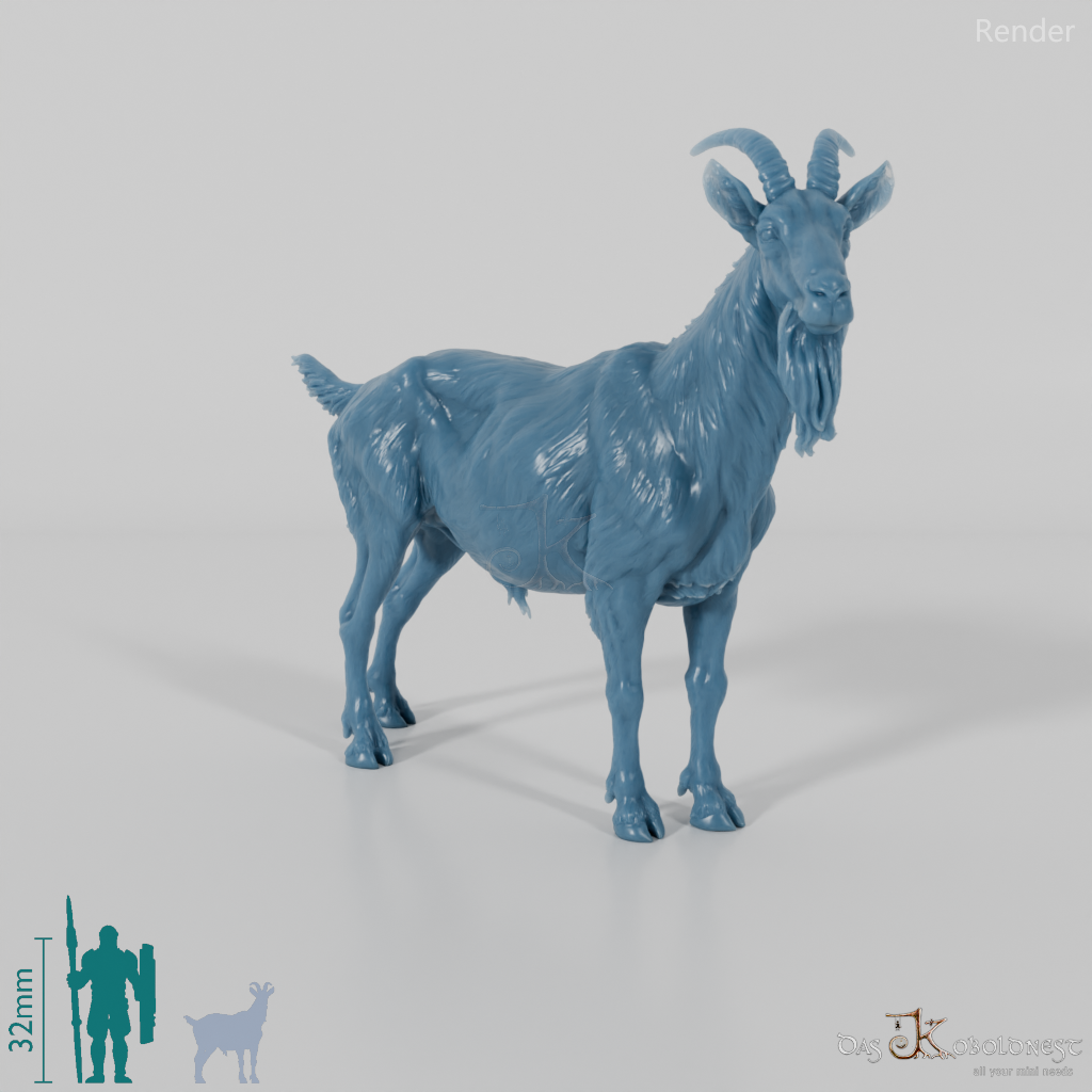Goat - mountain goat - billy goat 01