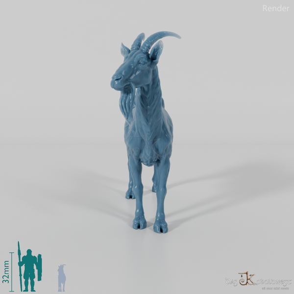 Goat - mountain goat - billy goat 01
