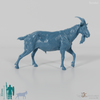 Goat - mountain goat - billy goat 03