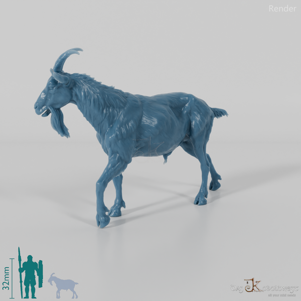 Goat - mountain goat - billy goat 03