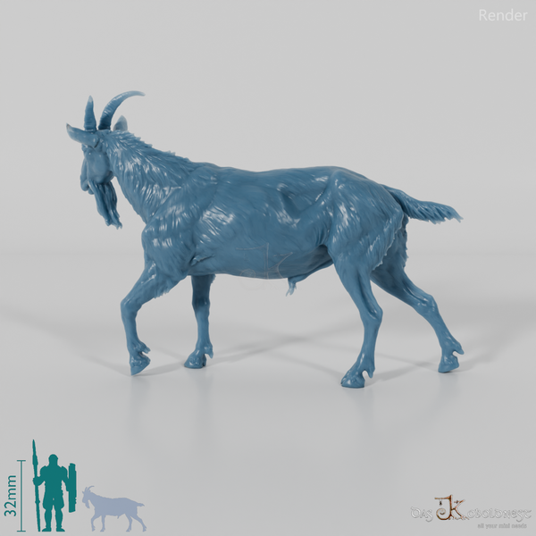Goat - mountain goat - billy goat 03