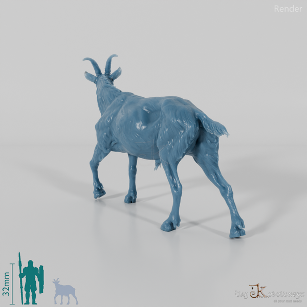 Goat - mountain goat - billy goat 03