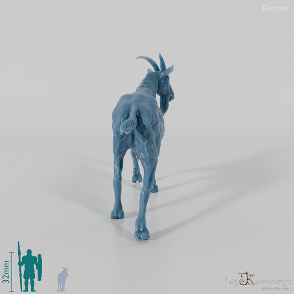 Goat - mountain goat - billy goat 03