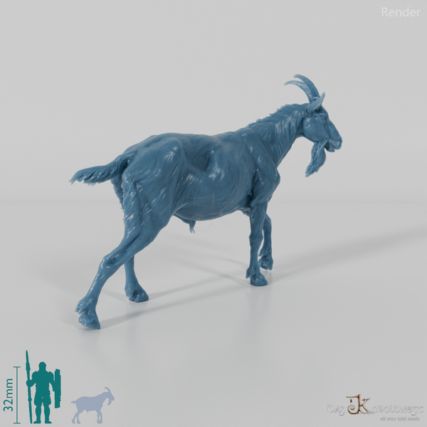 Goat - mountain goat - billy goat 03