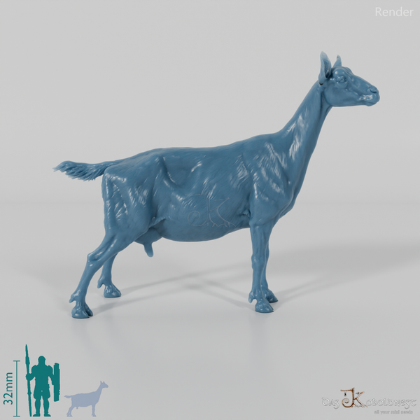 Goat - Mountain Goat 02