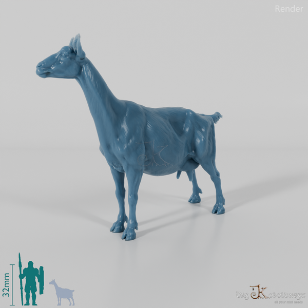 Goat - Mountain Goat 02