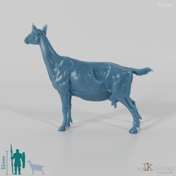 Goat - Mountain Goat 02