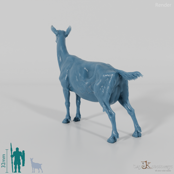 Goat - Mountain Goat 02
