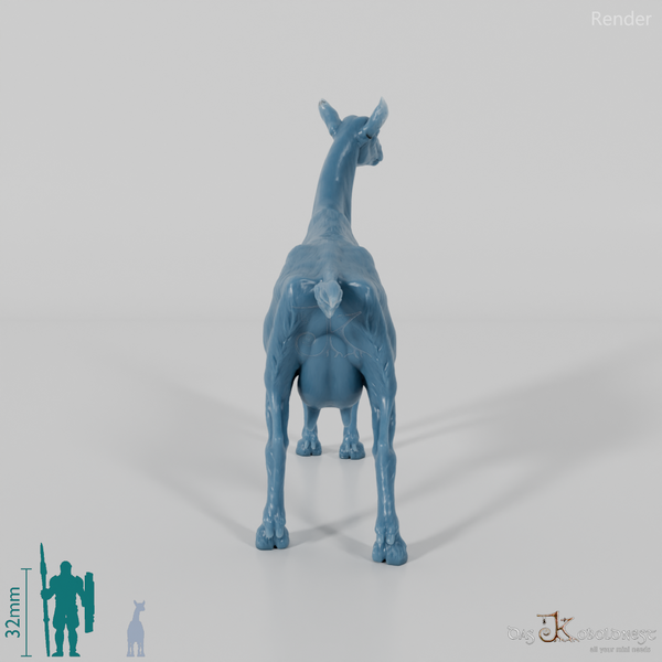 Goat - Mountain Goat 02