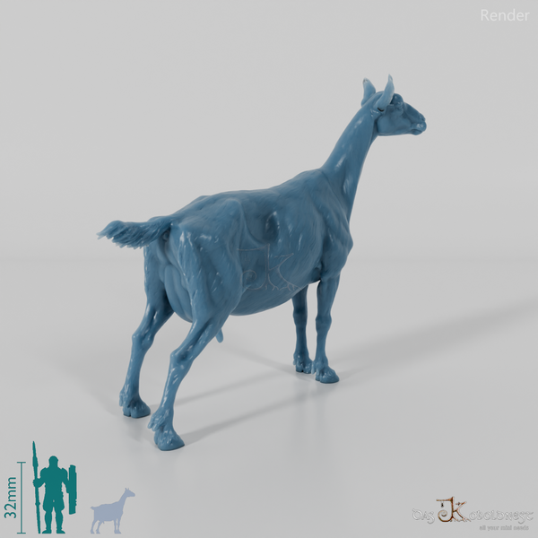 Goat - Mountain Goat 02