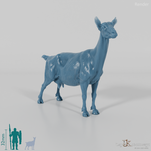 Goat - Mountain Goat 02