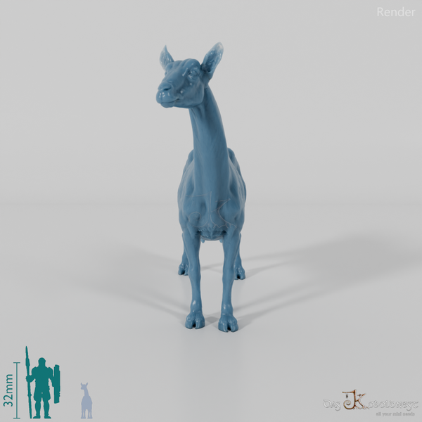 Goat - Mountain Goat 02