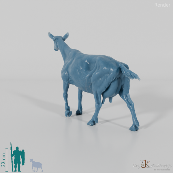 Goat - Mountain Goat 05