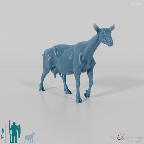 Goat - Mountain Goat 05