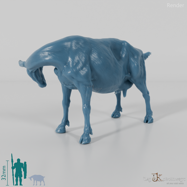 Ziege - Gebirgsziege 01