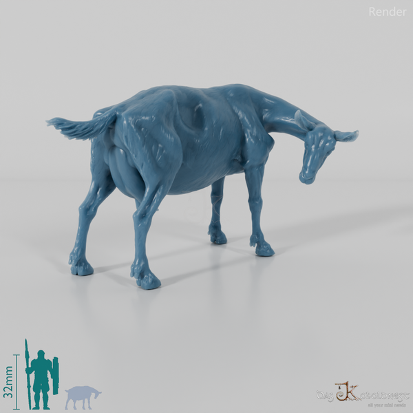 Ziege - Gebirgsziege 01