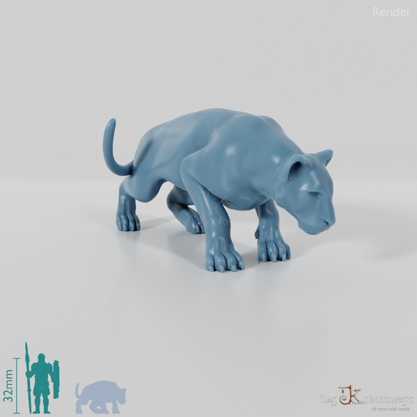 Big Cat - Big Cat 01