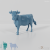 Beef - Cow 02
