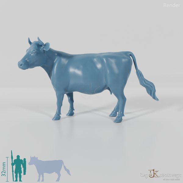 Beef - Cow 02