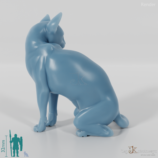 Cat - Sitting Domestic Cat 01