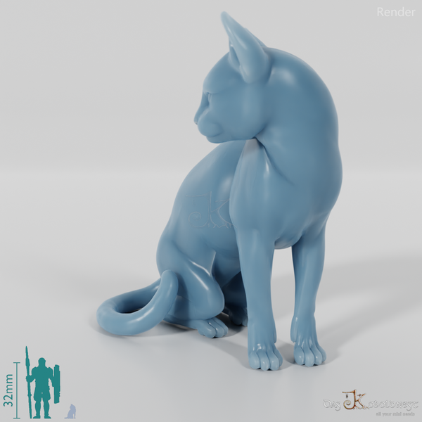 Cat - Sitting Domestic Cat 01