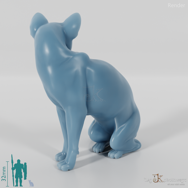 Cat - Sitting Domestic Cat 01