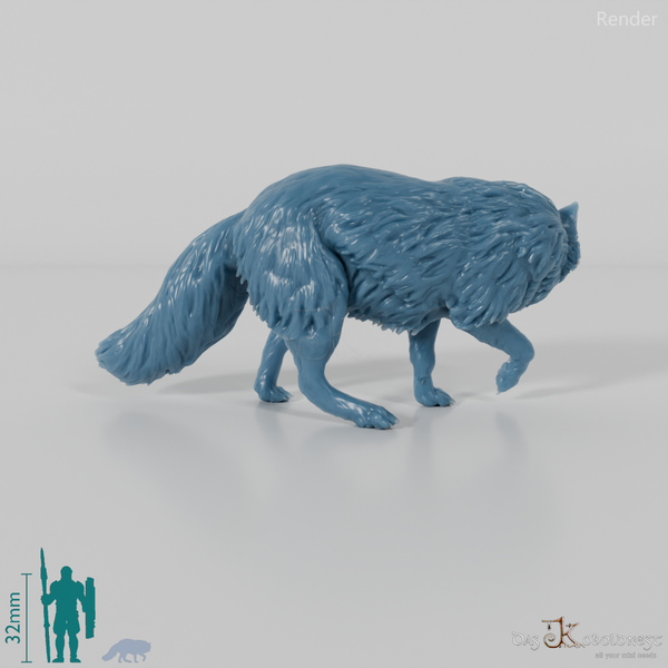 Fox - Arctic Fox 01