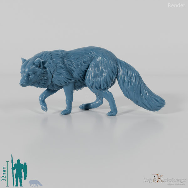 Fox - Arctic Fox 01