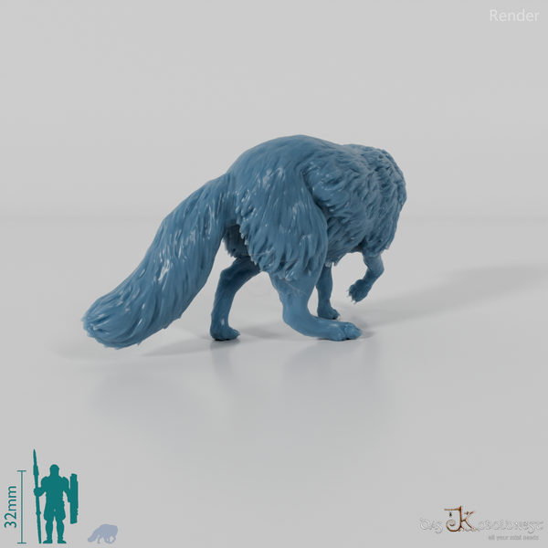 Fox - Arctic Fox 01