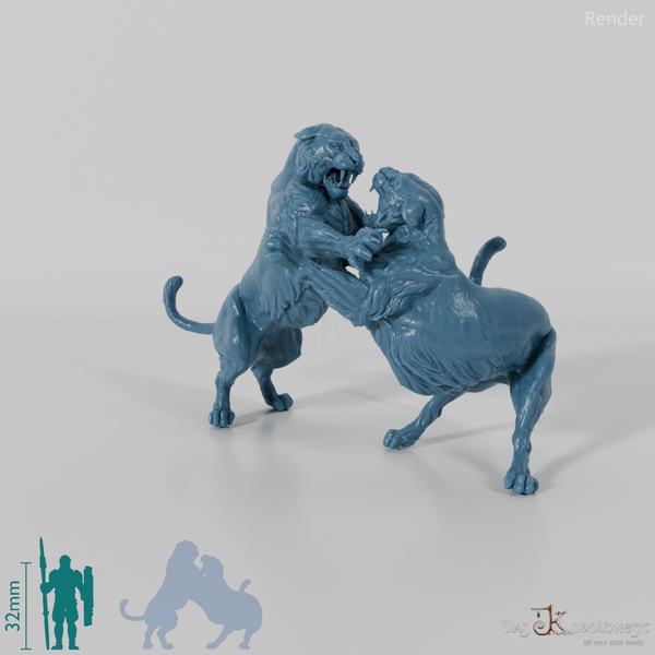 Big Cat - Bengal Tiger - Fighting