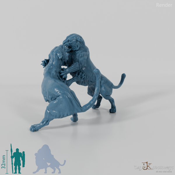 Big Cat - Bengal Tiger - Fighting