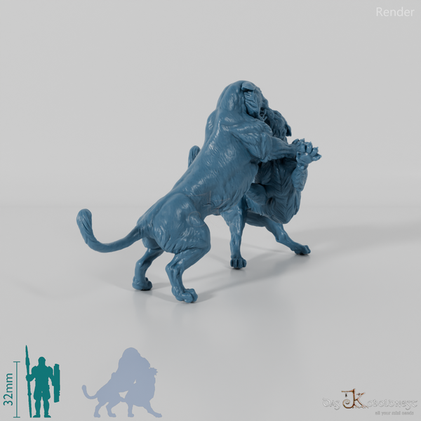 Big Cat - Bengal Tiger - Fighting