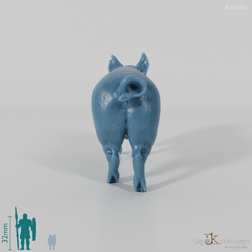 Schwein - Berkshire-Eber 01