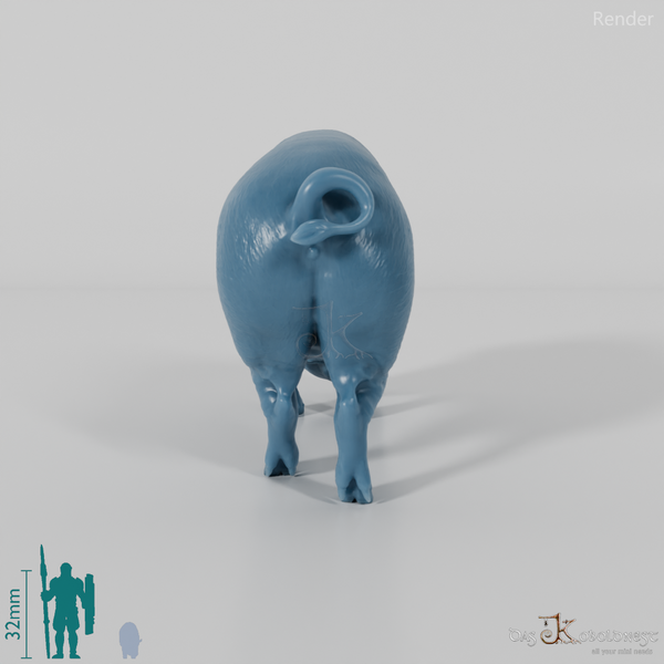 Pig - Berkshire sow 02