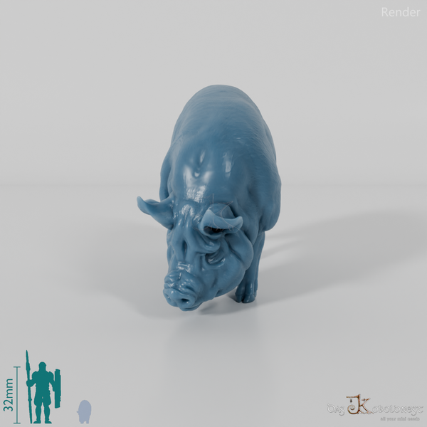 Pig - Berkshire sow 02