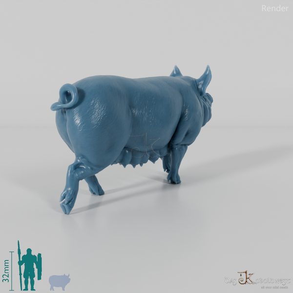 Schwein - Berkshire-Sau 01