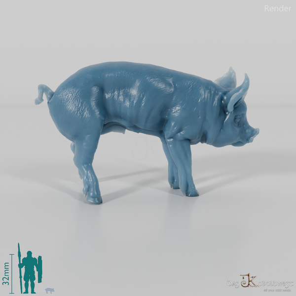 Pig - Berkshire Piglets 01