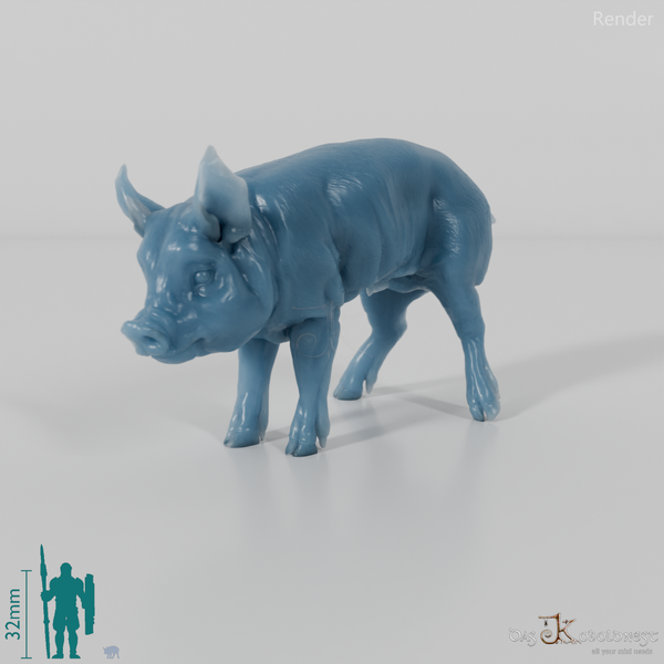 Pig - Berkshire Piglets 01