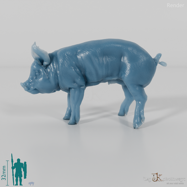 Pig - Berkshire Piglets 01