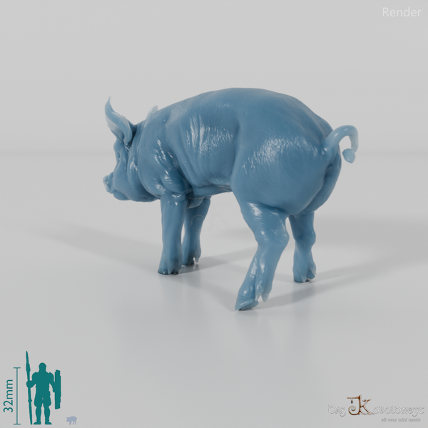 Pig - Berkshire Piglets 01