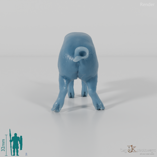 Pig - Berkshire Piglets 01